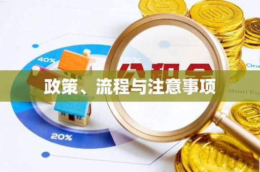 云县政策、流程与注意事项