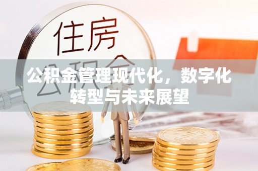 云县公积金管理现代化，数字化转型与未来展望