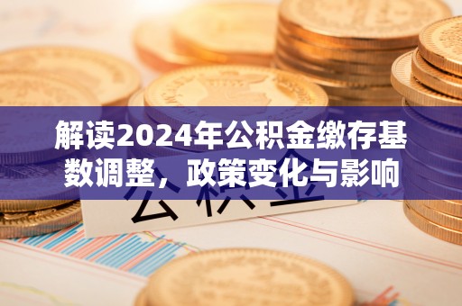云县解读2024年公积金缴存基数调整，政策变化与影响