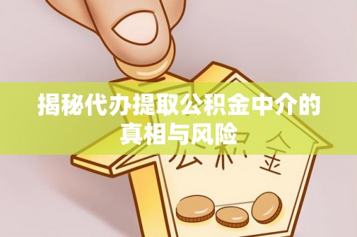 云县揭秘代办提取公积金中介的真相与风险