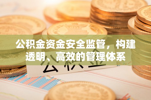 云县公积金资金安全监管，构建透明、高效的管理体系