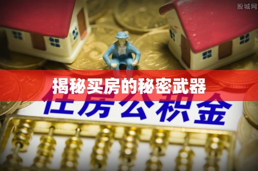 云县揭秘买房的秘密武器