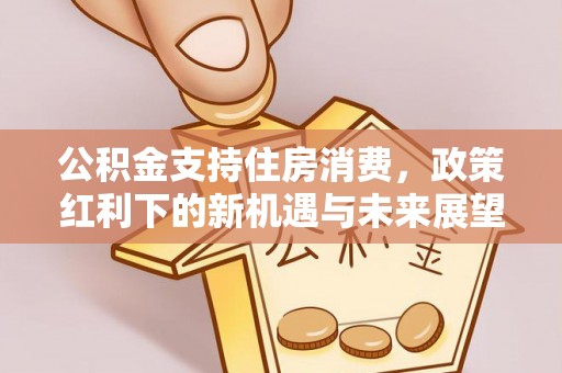 云县公积金支持住房消费，政策红利下的新机遇与未来展望