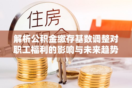 云县解析公积金缴存基数调整对职工福利的影响与未来趋势
