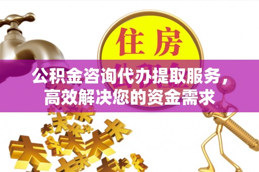 云县公积金咨询代办提取服务，高效解决您的资金需求
