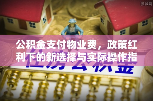 云县公积金支付物业费，政策红利下的新选择与实际操作指南