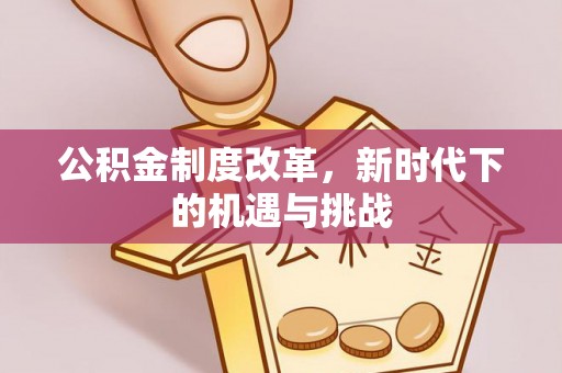 云县公积金制度改革，新时代下的机遇与挑战