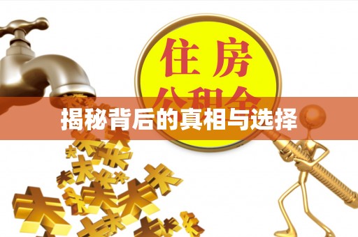 云县揭秘背后的真相与选择