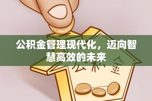 云县公积金管理现代化，迈向智慧高效的未来