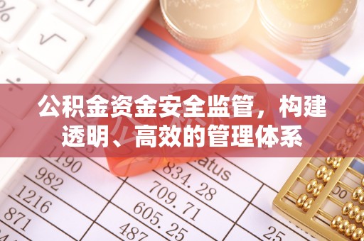云县公积金资金安全监管，构建透明、高效的管理体系