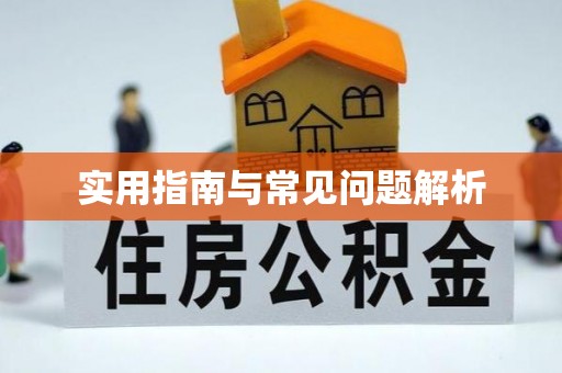 云县实用指南与常见问题解析