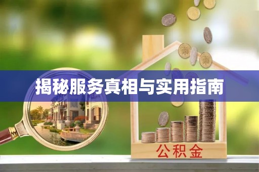 云县揭秘服务真相与实用指南