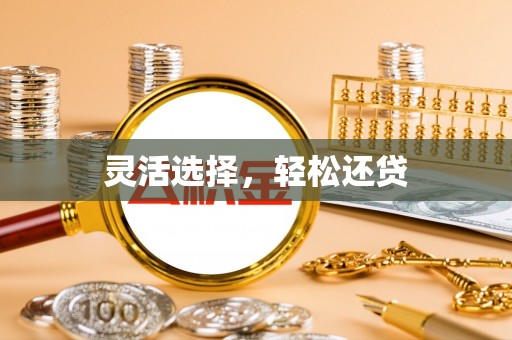 云县灵活选择，轻松还贷