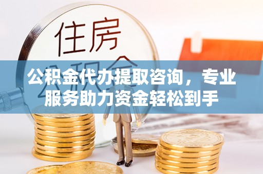 云县公积金代办提取咨询，专业服务助力资金轻松到手