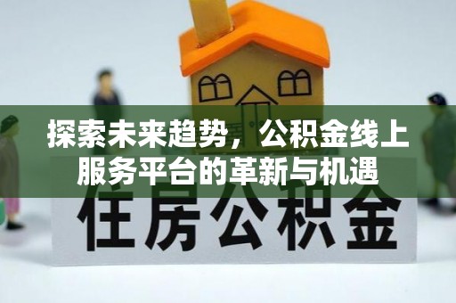 云县探索未来趋势，公积金线上服务平台的革新与机遇