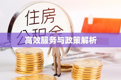 云县高效服务与政策解析