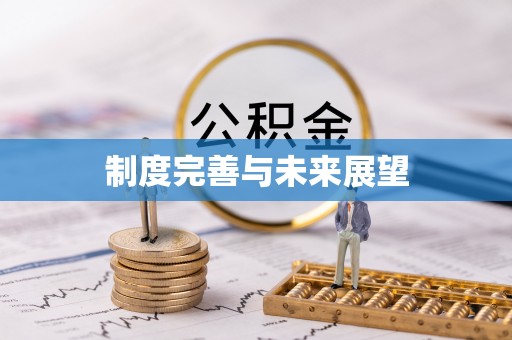 云县制度完善与未来展望