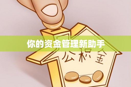 云县你的资金管理新助手