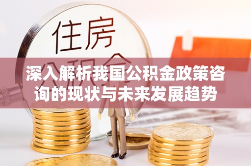 云县深入解析我国公积金政策咨询的现状与未来发展趋势