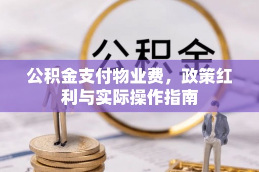 云县公积金支付物业费，政策红利与实际操作指南