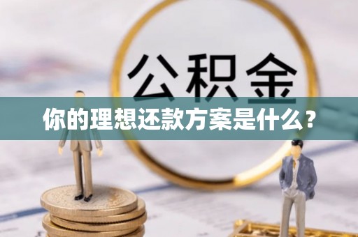 云县你的理想还款方案是什么？