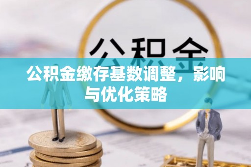 云县公积金缴存基数调整，影响与优化策略