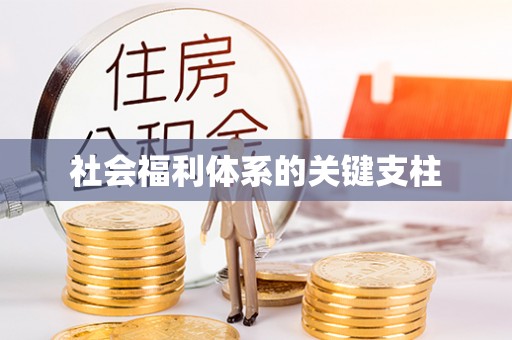 云县社会福利体系的关键支柱