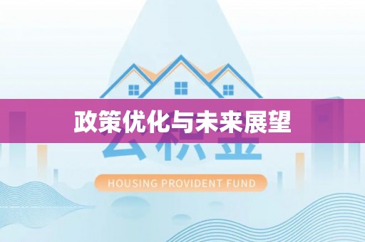 云县政策优化与未来展望