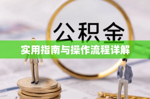 云县实用指南与操作流程详解