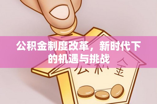 云县公积金制度改革，新时代下的机遇与挑战