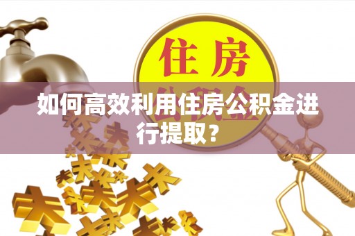 云县如何高效利用住房公积金进行提取？