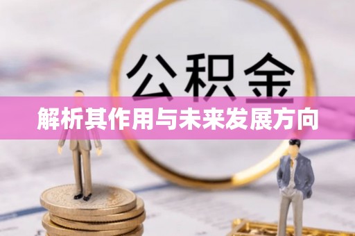 云县解析其作用与未来发展方向