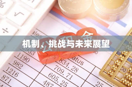 云县机制、挑战与未来展望