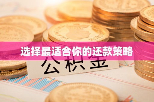 云县选择最适合你的还款策略