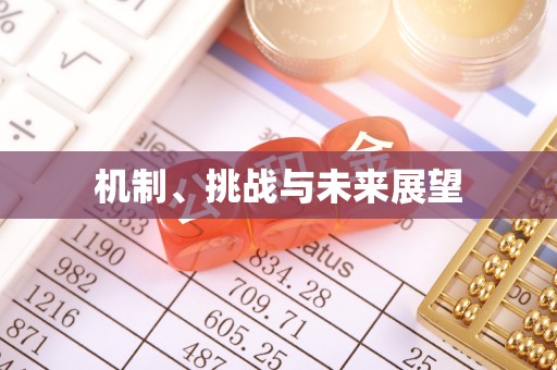 云县机制、挑战与未来展望